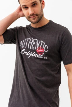 Le T-shirt Imprimé Authentic Original